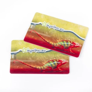 Flash Drive krediitkaart 32Gb