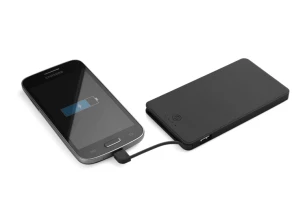Energiapank VIVID 4000 mAh - must