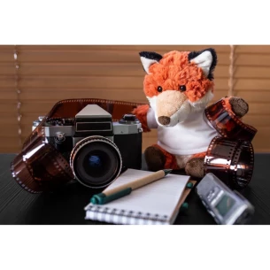 Pluusi Cleverus rebane
