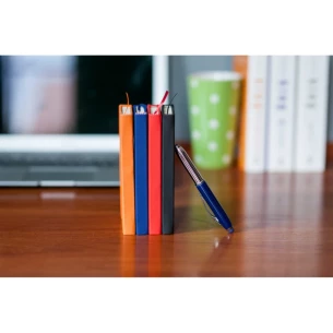 Master Notebook - sinine