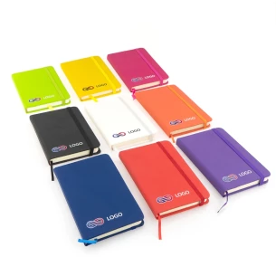 Master Notebook - sinine