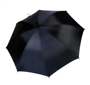 Fernando vihmavari - Must